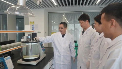 陜煤集團獲省級五一勞動表彰 新材料技術研發(fā)的領軍力量